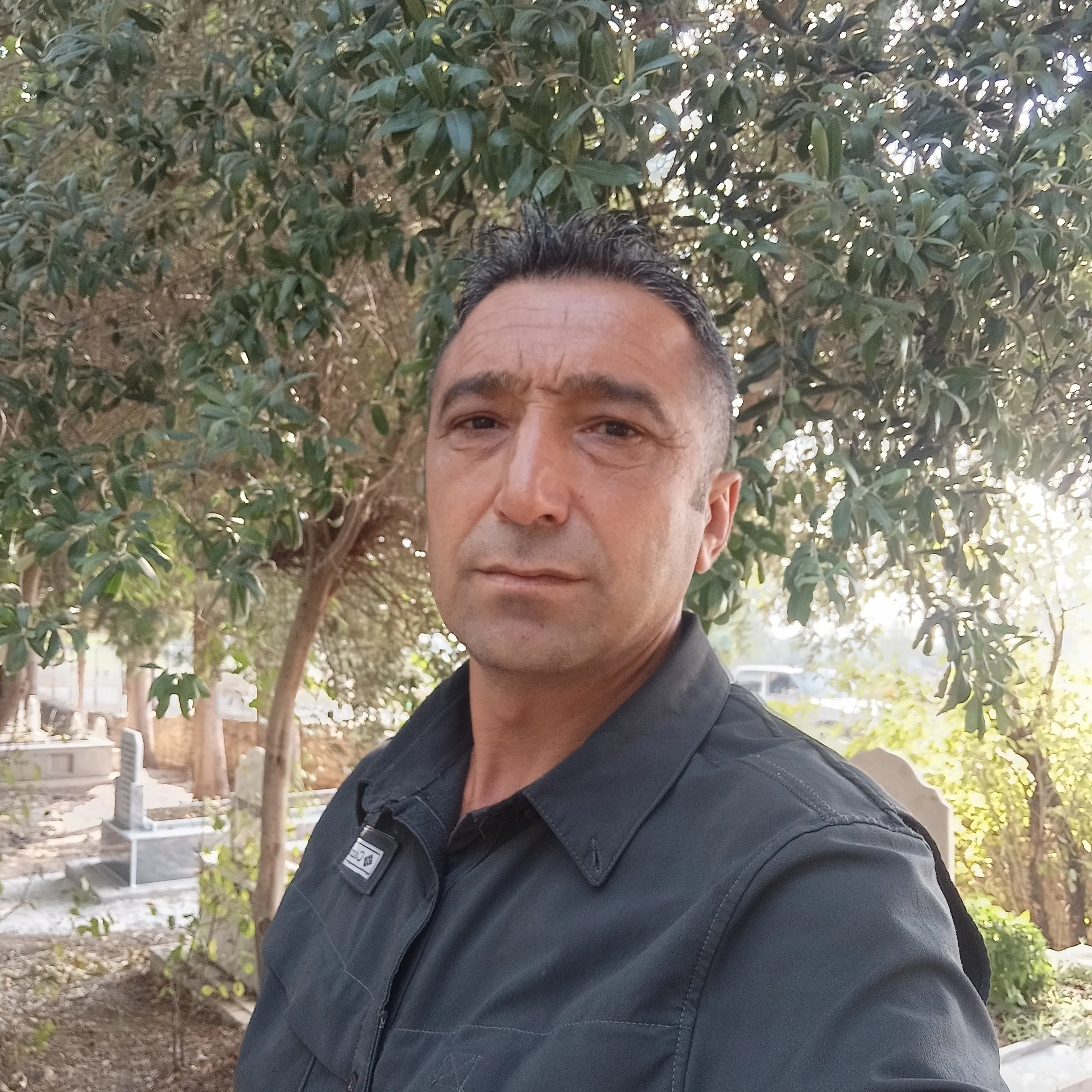 Mehmet Kurt